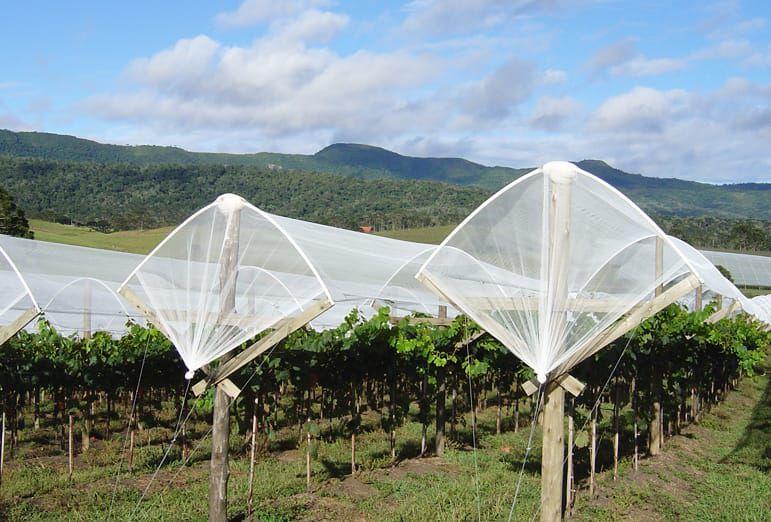 Tela Fachadeira Branca Agrícola Obras Estufa 3X28 - RA MIX Imagem de Tela Fachadeira Branca Agrícola Obras Estufa 3X28
