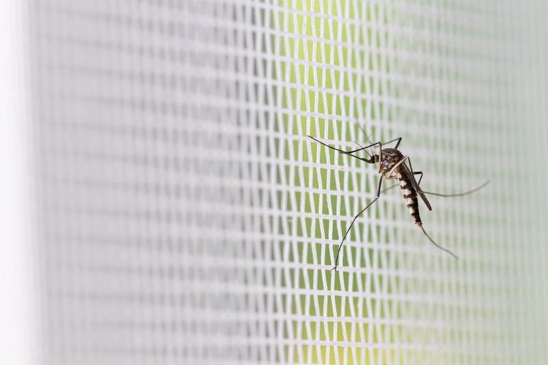 Imagem de Tela Mosquiteira Fibra Vidro Branca 10,00 x 1,00m