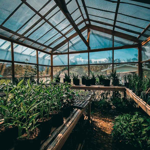 Tela Preta Sombrite Hortas e Estufas Proteção 50% 1,5x20 - R A MIX Imagem de Tela Preta Sombrite Hortas e Estufas Proteção 50% 1,5x20