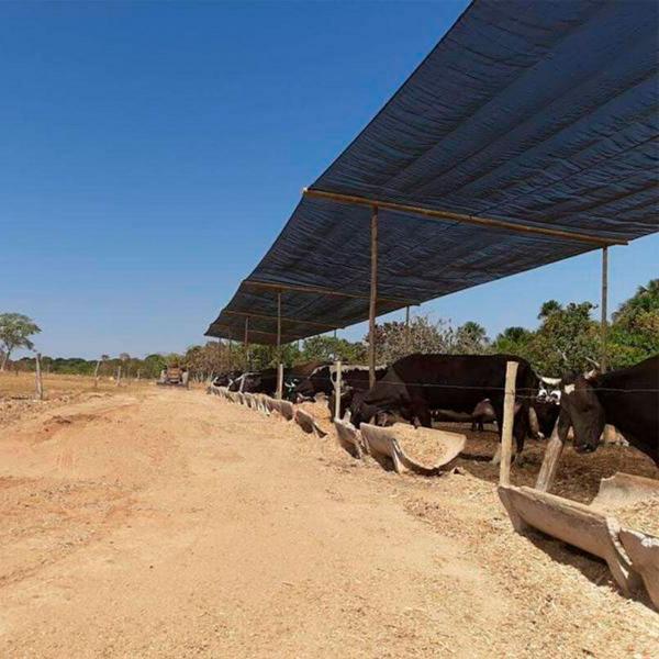 Imagem de Tela Preta Sombrite Hortas e Estufas Proteção 80% 1,5x10