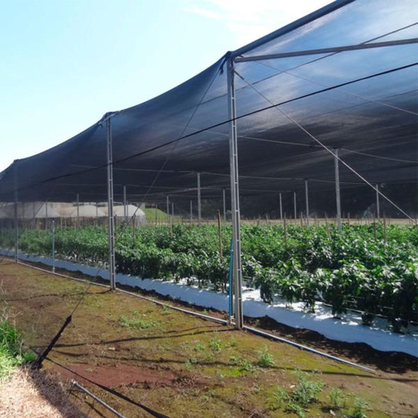 Tela Preta Sombrite Hortas e Estufas Proteção 80% 3x36 - R A MIX Imagem de Tela Preta Sombrite Hortas e Estufas Proteção 80% 3x36