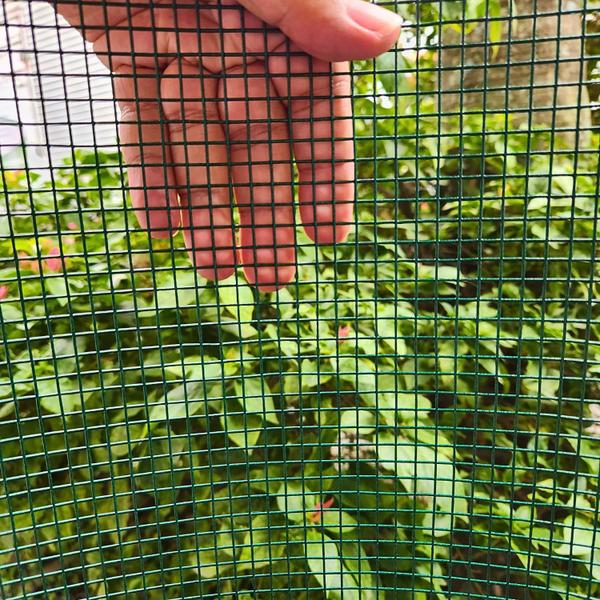 Tela Soldada Revestida PVC 6,25mm Jardim Pets 5,00m X 1,00m - Telas MM Imagem de Tela Soldada Revestida PVC 6,25mm Jardim Pets 5,00m X 1,00m