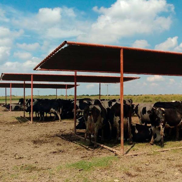 Imagem de Tela Sombrite 100% Proteção Chuva Gado Cultivo Multiuso 4x1