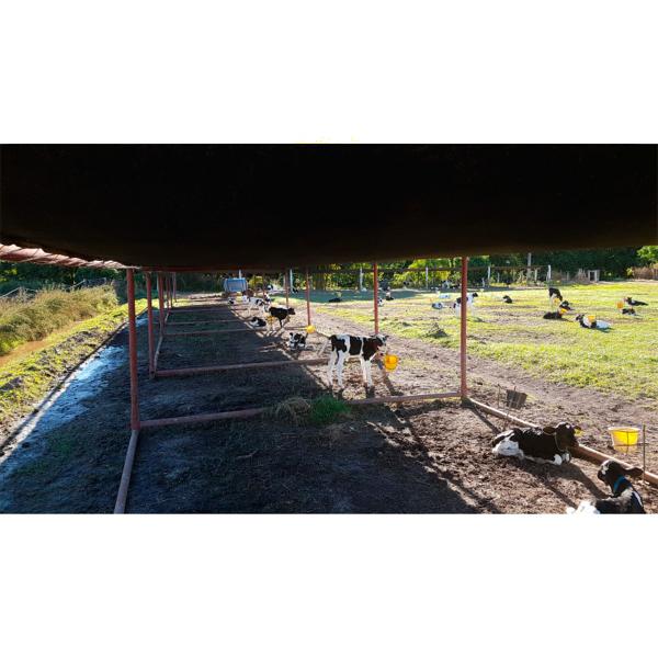 Imagem de Tela Sombrite 100% Proteção Chuva Gado Cultivo Multiuso 4x8