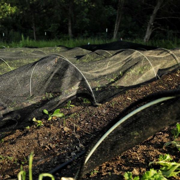 Imagem de Tela Sombrite 50 Tamanho 4X2 Hortas Estufas Jardim