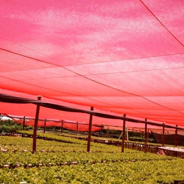 Imagem de Tela Sombrite Vermelha Agrícola Estufa Horta 30% 2x11