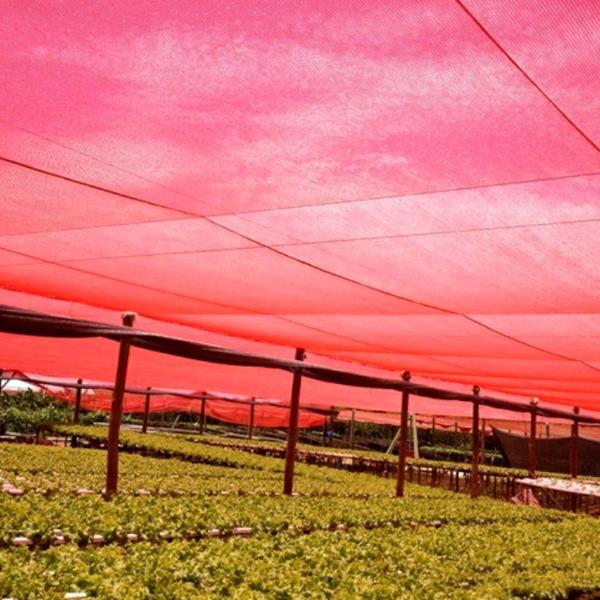 Tela Sombrite Vermelha Agrícola Estufa Horta 30% 3x41 - R A MIX Imagem de Tela Sombrite Vermelha Agrícola Estufa Horta 30% 3x41
