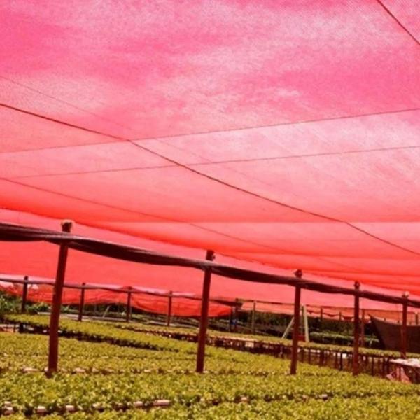 Imagem de Telas de Proteção Solar Redes Agrícolas VERMELHA  4X30