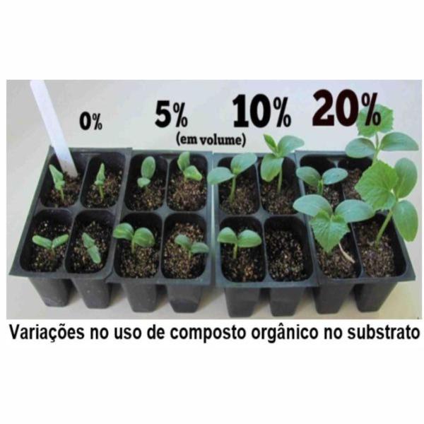 Imagem de Terra Preta Composto Orgânica para Plantas e Flores - pacote com 1kg