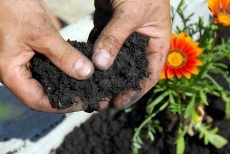 Imagem de Terra Vegetal Fértil Humus 20Kg Plantas Frutas Hortaliças