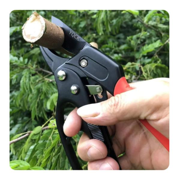 Tesora de Cortar Arvore Galhos Tesoura Poda Profissional em Aço Jardim Arbusto Jardinagem - V2beh Imagem de Tesora de Cortar Arvore Galhos Tesoura Poda Profissional em Aço Jardim Arbusto Jardinagem