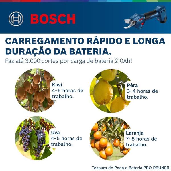 Tesoura de Poda a Bateria Pro Pruner BRUSHLESS 12V, 2 baterias, carregador e maleta - Bosch Imagem de Tesoura de Poda a Bateria Pro Pruner BRUSHLESS 12V, 2 baterias, carregador e maleta - Bosch