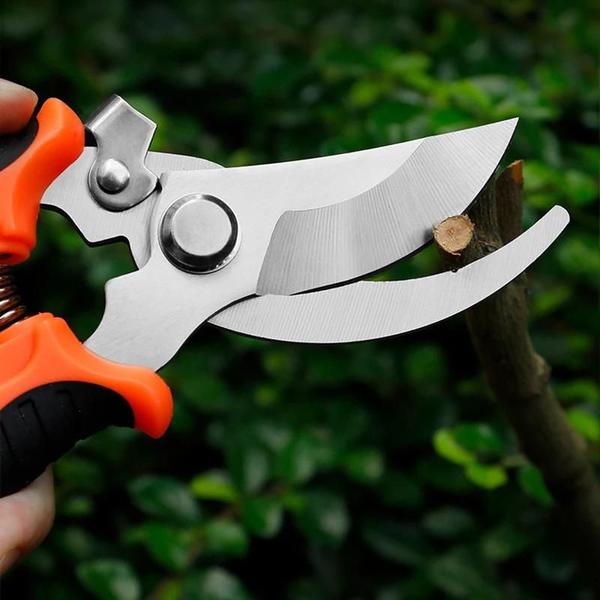 Tesoura de Poda de Aço Inoxidável em Formato de Bico de Pássaro - Ferramenta de Horticultura Imagem de Tesoura de Poda de Aço Inoxidável em Formato de Bico de Pássaro - Ferramenta de Horticultura