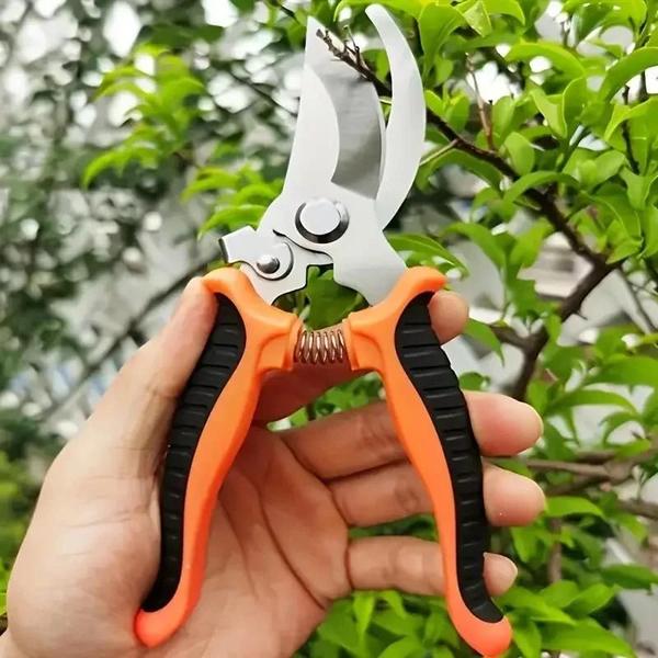 Tesoura de Poda de Aço Inoxidável em Formato de Bico de Pássaro - Ferramenta de Horticultura Imagem de Tesoura de Poda de Aço Inoxidável em Formato de Bico de Pássaro - Ferramenta de Horticultura