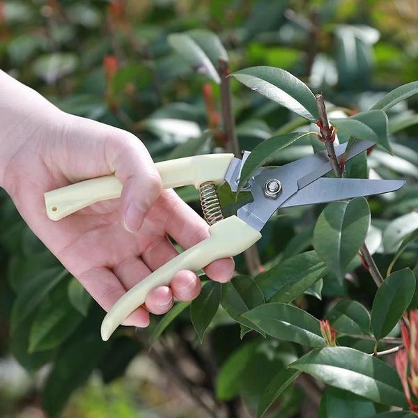 Tesoura de Poda Multifuncional de Aço Inoxidável - Podador de Jardim Bypass Imagem de Tesoura de Poda Multifuncional de Aço Inoxidável - Podador de Jardim Bypass