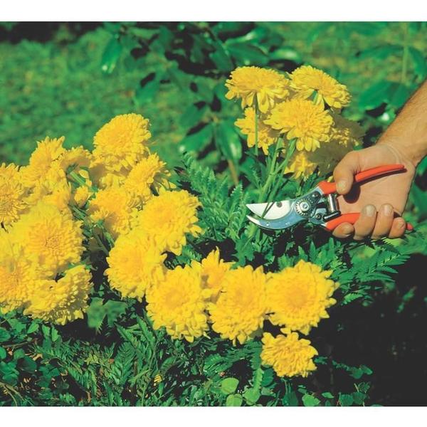 Tesoura de Podar Tramontina com Cabo Plástico, 21 cm Imagem de Tesoura de Podar Tramontina com Cabo Plástico, 21 cm
