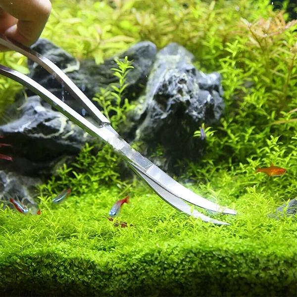 Tesoura e Pinça para Aquário - Aço Inoxidável - Ferramentas para Plantas Imagem de Tesoura e Pinça para Aquário - Aço Inoxidável - Ferramentas para Plantas