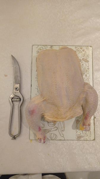 Imagem de Tesoura Forjada para Trinchar com mola externa 25 cm - NYBC Beauty -Corte preciso e seguro para carnes frangos