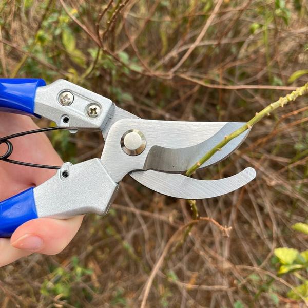 Tesoura Poda Jardinagem Trava Mola 200mm Alpe & Aritana Imagem de Tesoura Poda Jardinagem Trava Mola 200mm Alpe & Aritana