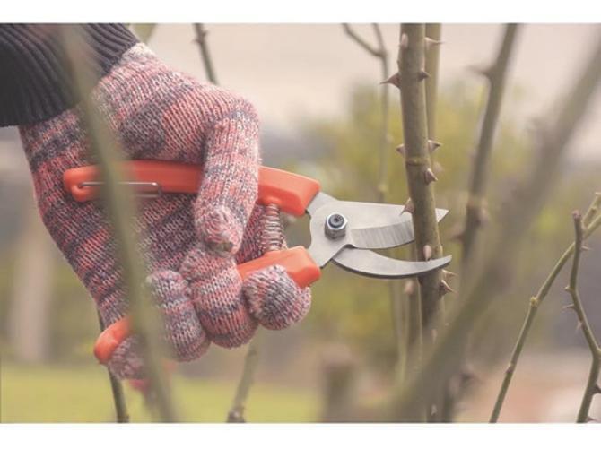 Imagem de Tesoura Poda Telescópica Trapp + Tesoura Plantas Tramontina