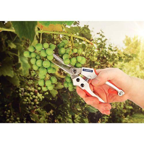 Tesoura Poda Tramontina Para Frutas - 78316/520 Imagem de Tesoura Poda Tramontina Para Frutas - 78316/520