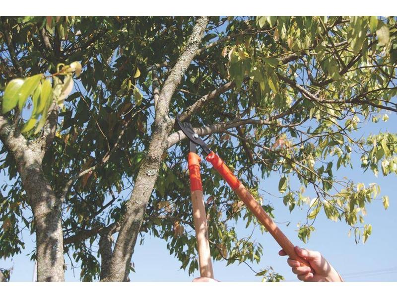 Imagem de Tesourao de poda metalico com cabo de metalico de 60 cm com empunhadura plastica tramontina