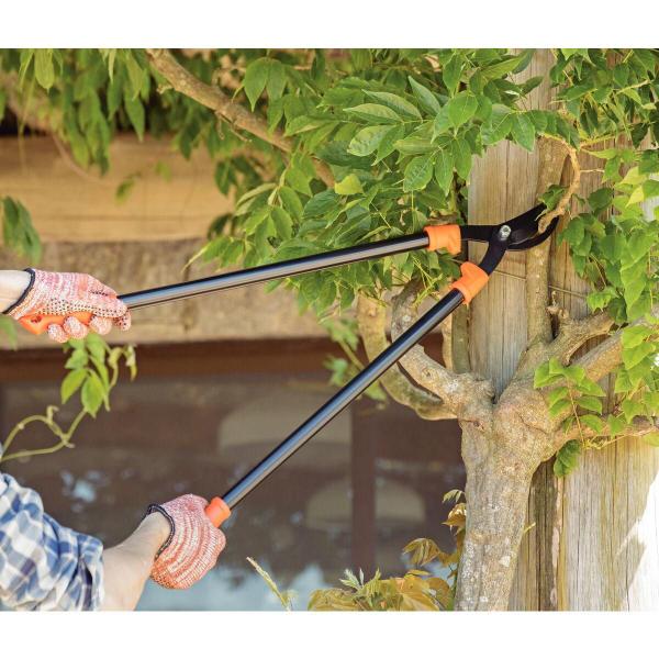 Tesourão de Poda Tipo Bypass Tramontina em Aço com Cabo Metalico 60 cm Imagem de Tesourão de Poda Tipo Bypass Tramontina em Aço com Cabo Metalico 60 cm