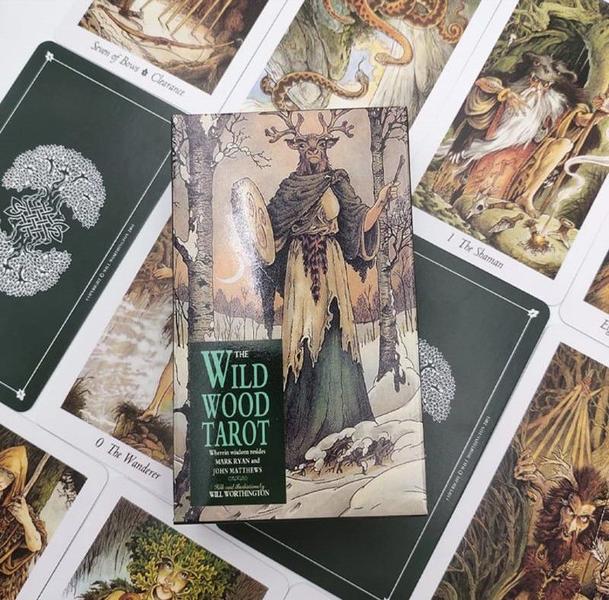The Wildwood Tarot Deck Tarô Da Floresta Selvagem Baralho de