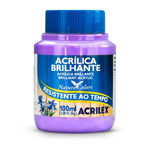 Imagem de Tinta Acrilica Brilhante 100ml Acrilex 03310