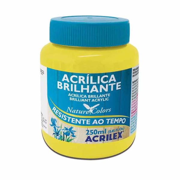 Imagem de Tinta Acrilica Brilhante 250ml Amarelo Limão 504 Acrilex