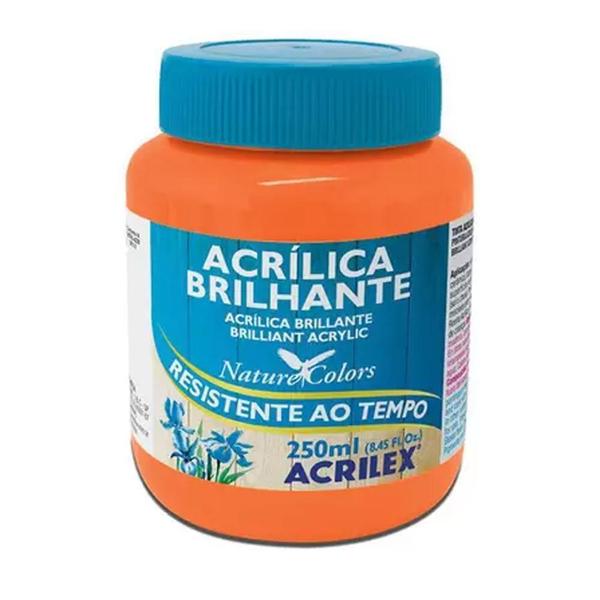 Imagem de Tinta Acrílica Brilhante Laranja 517 (250Ml.)