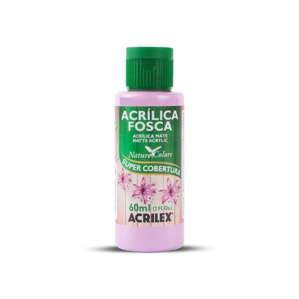 Imagem de Tinta Acrilica Fosca 60ml Acrilex 03560 (com cores exclusivas)