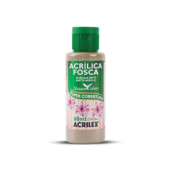 Imagem de Tinta Acrilica Fosca 60ml Acrilex 03560 (+ cores)