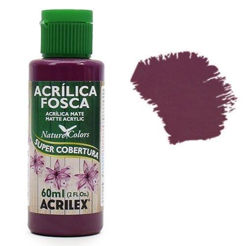 Imagem de Tinta Acrílica Nature Colors Acrilex 60ml