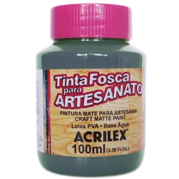 Imagem de Tinta PVA Acrilex Cinza Lunar 100ml