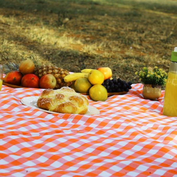 Imagem de Toalha de Mesa Quadrada 4 Lugares Em Oxford Xadrez 1,45m X 1,45 Picnic Piquenique - Laranja