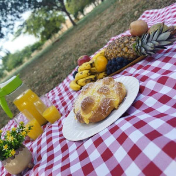 Imagem de Toalha de Mesa Retangular 6 Lugares Em Oxford Xadrez 2,00m X 1,45 Picnic Piquenique Várias Cores