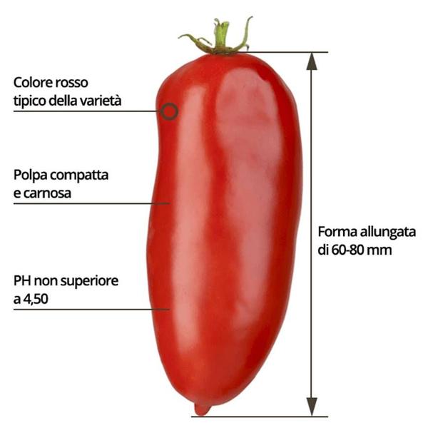 Imagem de Tomate Pelati San Marzano DOP CIAO 800g