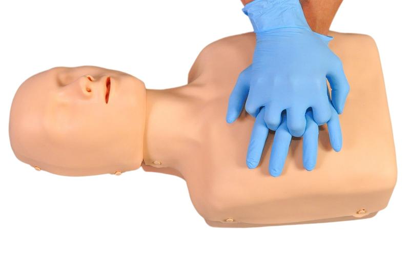 Imagem de Torso Humano para RCP Mecânico Adulto e Criança