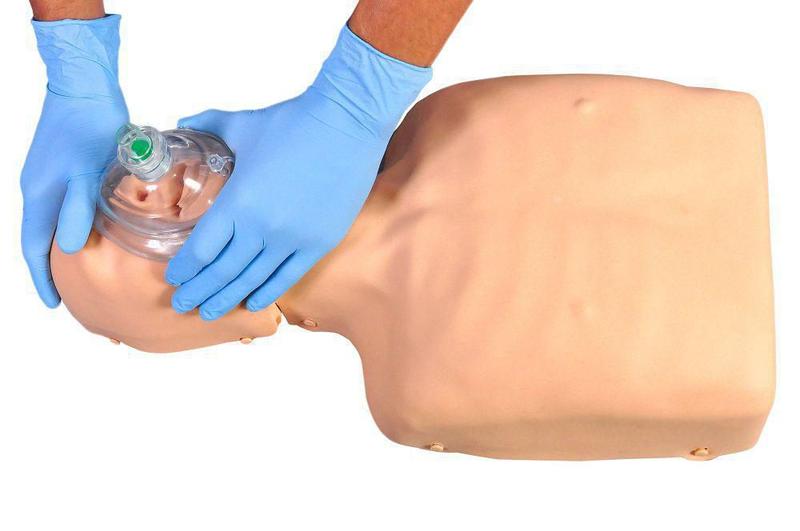 Imagem de Torso Humano Para Rcp Mecânico Adulto E Criança