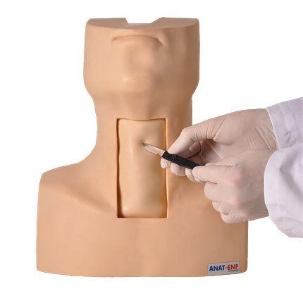 Imagem de Torso Humano para Traqueostomia Simulador Médico