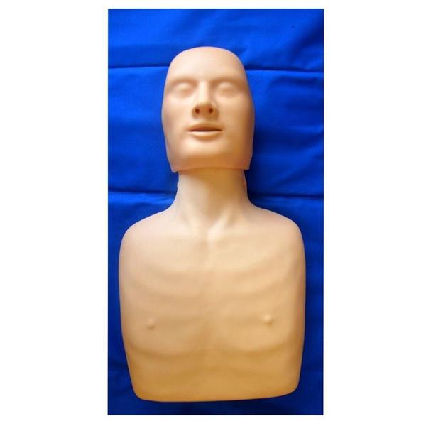 Imagem de Torso Humano Para Treino De Rcp Adulto E Infantil