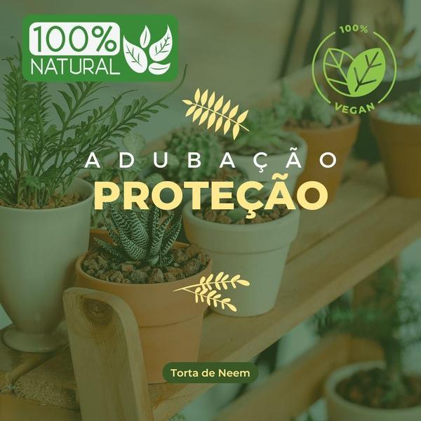 Imagem de Torta De Neem Nim Organico Adubação P/Plantas 1Kg