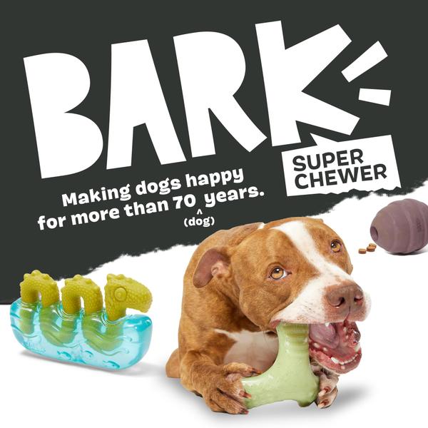 Imagem de Toy Dog Chew Toy Barkbox Super Chewer Tough Dental Stimulating