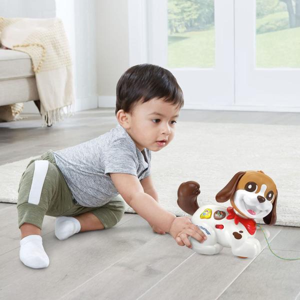 Imagem de Toy VTech Walk and Woof Puppy para crianças de 12 a 36 meses