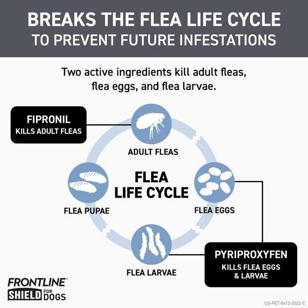 Imagem de Tratamento contra pulgas e carrapatos Frontline Shield para cães grandes