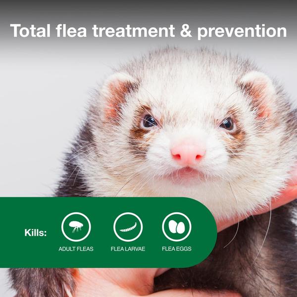 Imagem de Tratamento e prevenção de pulgas Advantage II Ferret 0,5+ kg