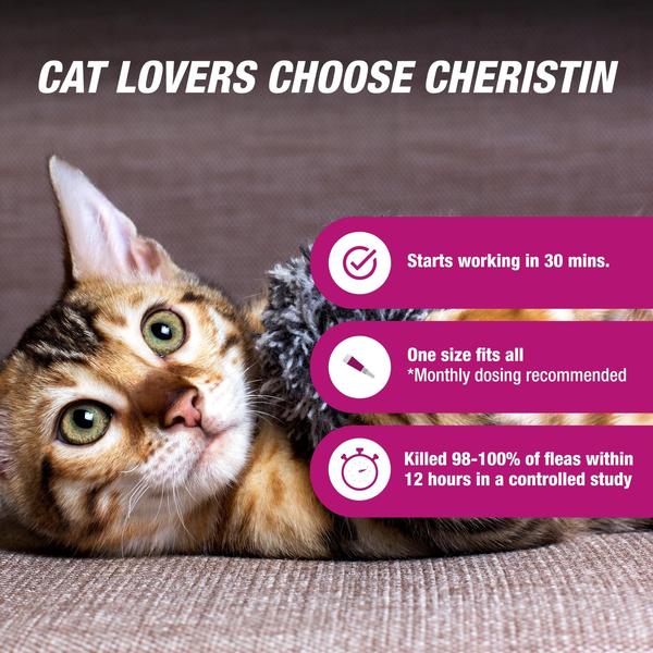 Imagem de Tratamento e prevenção de pulgas para gatos Cheristin 1 dose