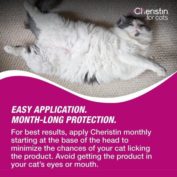 Imagem de Tratamento e prevenção de pulgas para gatos Cheristin 1 dose