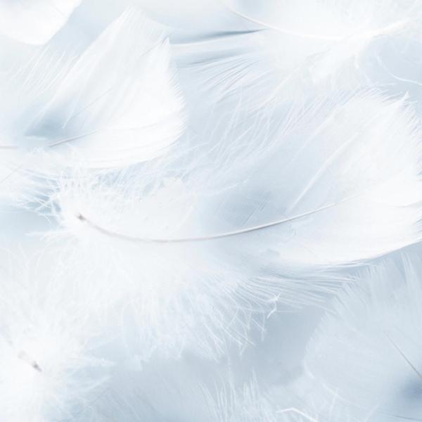 Travesseiro Theva Bestplumas Pillow 45 x 150 Imagem de Travesseiro Theva Bestplumas Pillow 45 x 150